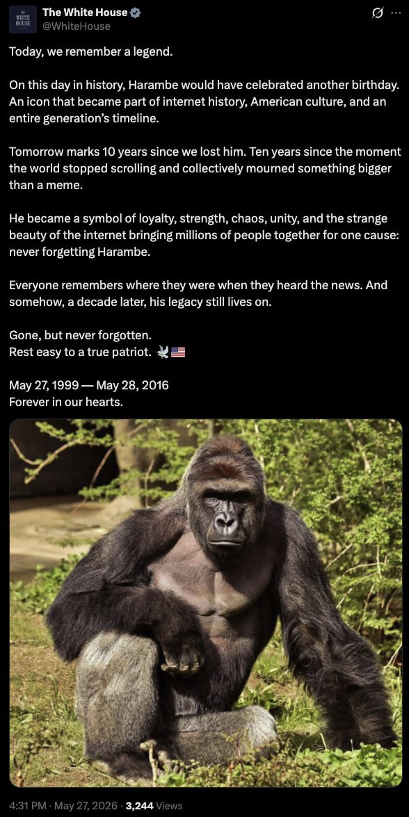 DICKS OUT FOR HARAMBE 🍌🍆🍌🍆🍌🍆🍌🍆🍌🍆🍌🍆🍌🍆🍌🍆🍌🍆🍌🍆