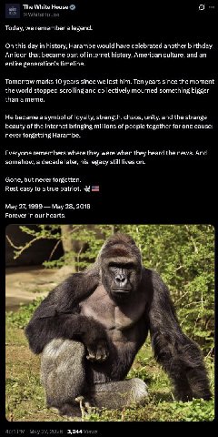 DICKS OUT FOR HARAMBE 🍌🍆🍌🍆🍌🍆🍌🍆🍌🍆🍌🍆🍌🍆🍌🍆🍌🍆🍌🍆