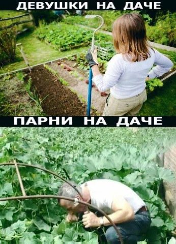 ДЕВУШКИ НА ДАЧЕ aS ПАРНИ НА ДАЧЕ Fas И a