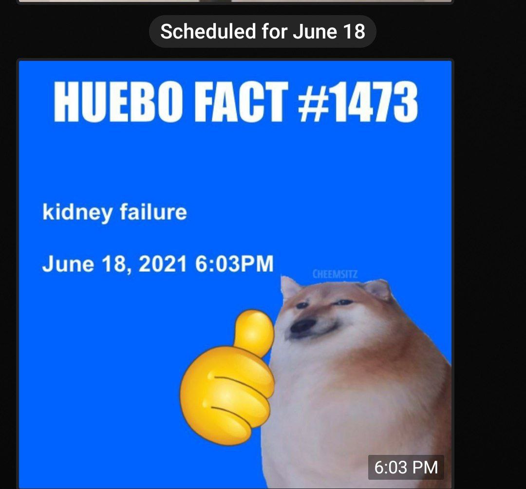 You can have a sneak peak into scheduled stuff I guess