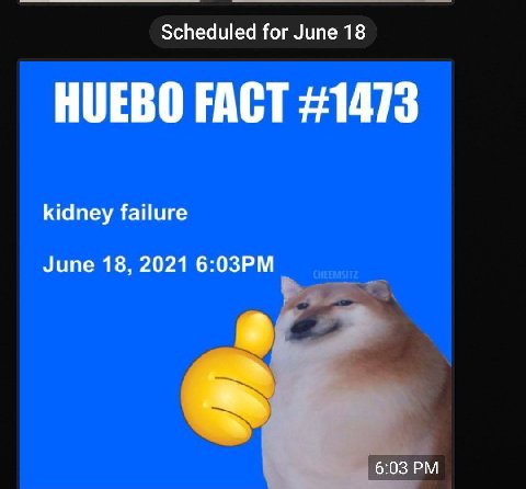You can have a sneak peak into scheduled stuff I guess