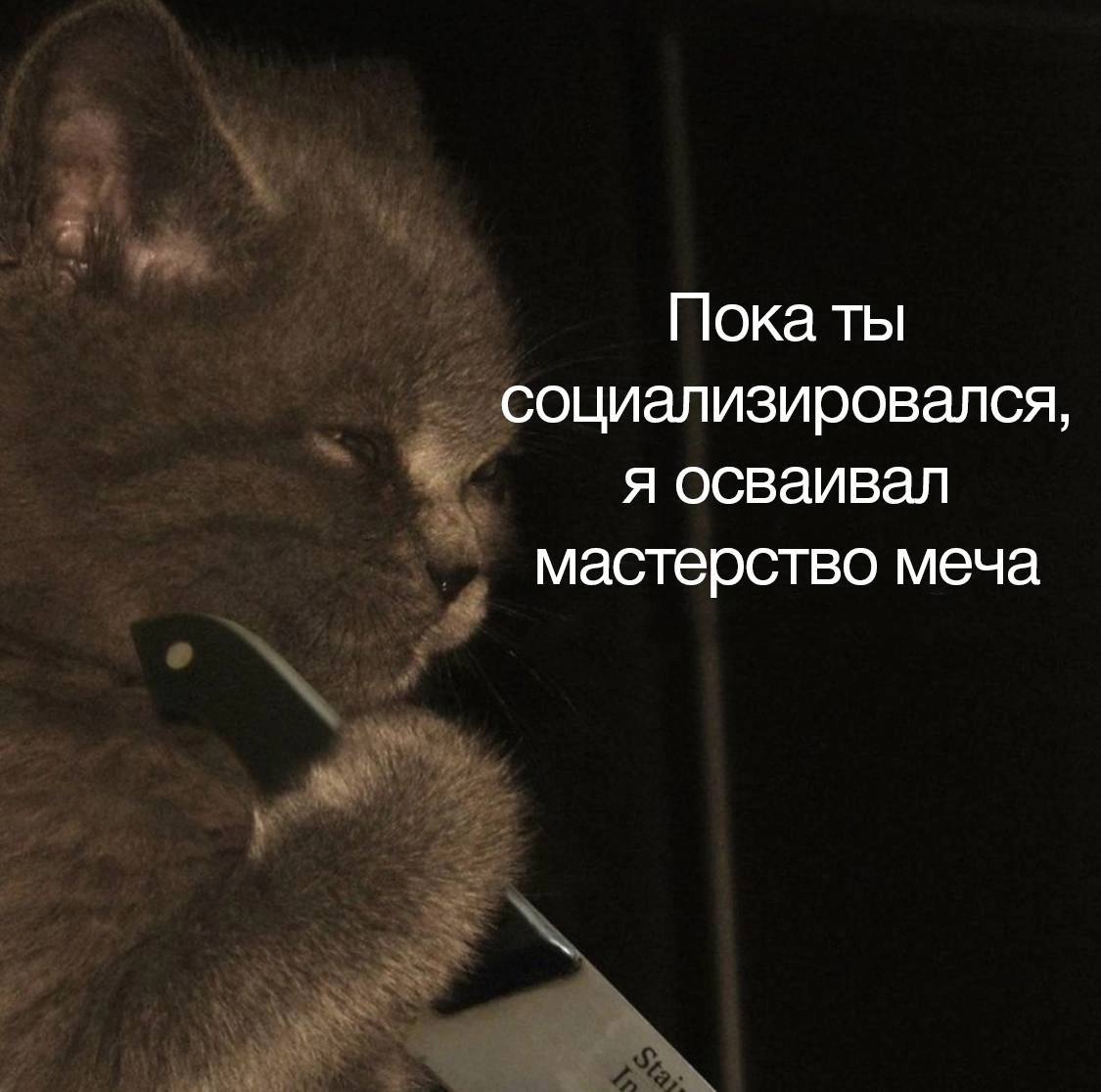 Пока ты социализировался, я осваивал мастерство меча