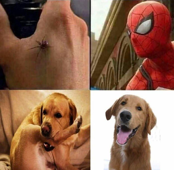 я