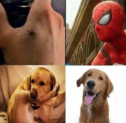 я