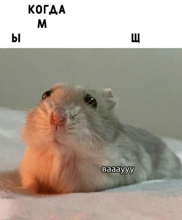 КОГДА ваааууу