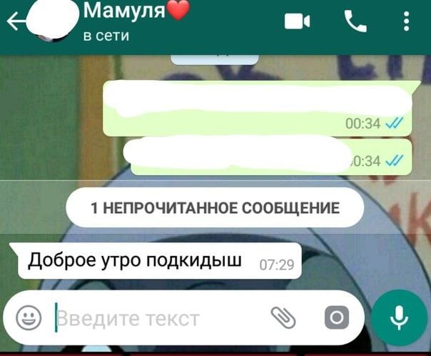 в сети 00:34 0:34 1 НЕПРОЧИТАННОЕ СООБЩЕНИЕ Доброе утро подкидыш