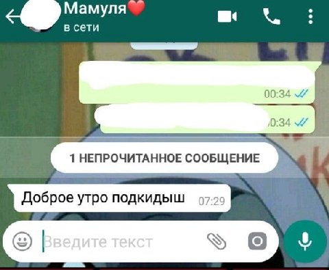 в сети 00:34 0:34 1 НЕПРОЧИТАННОЕ СООБЩЕНИЕ Доброе утро подкидыш