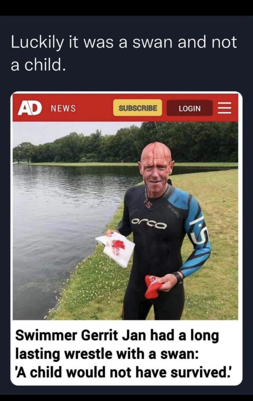 Luckily it was a swan and not a child. NEWS LOGIN Swimmer Gerrit Jan had a long lasting wrestle with a swan: 'А child would not have survived.