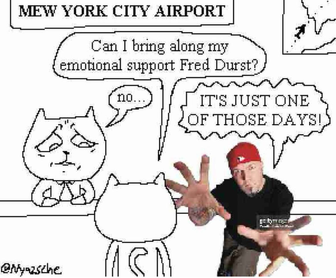 MEW YORK CITY AIRPORT 4 Can I bring along my emotional support Fred Durst? IT'S JUST ONE OF THOSE DAYS!