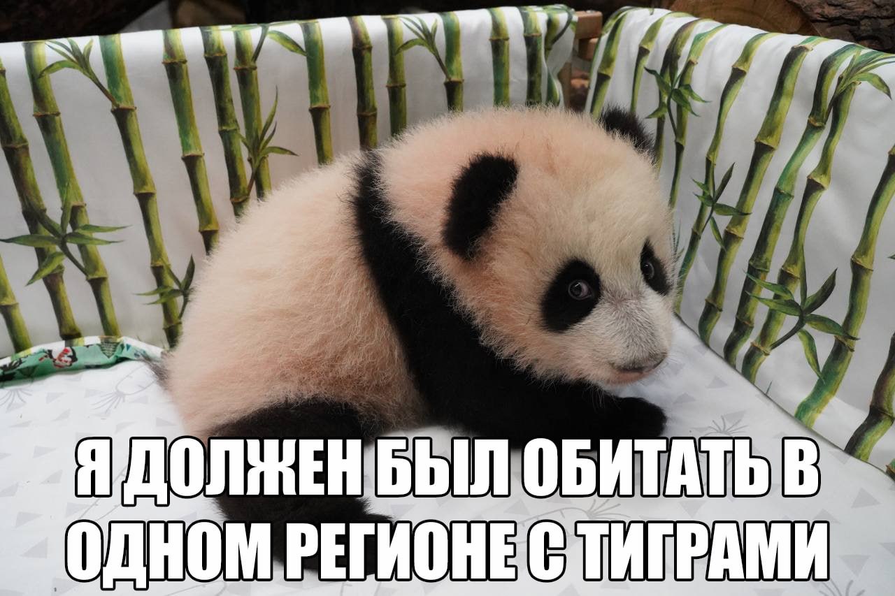 7 БЫЛ ОБИТАТЬ В МОДНОМ