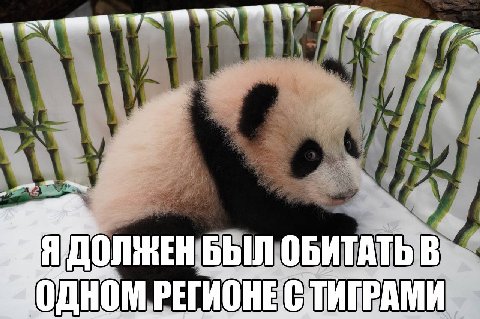 7 БЫЛ ОБИТАТЬ В МОДНОМ