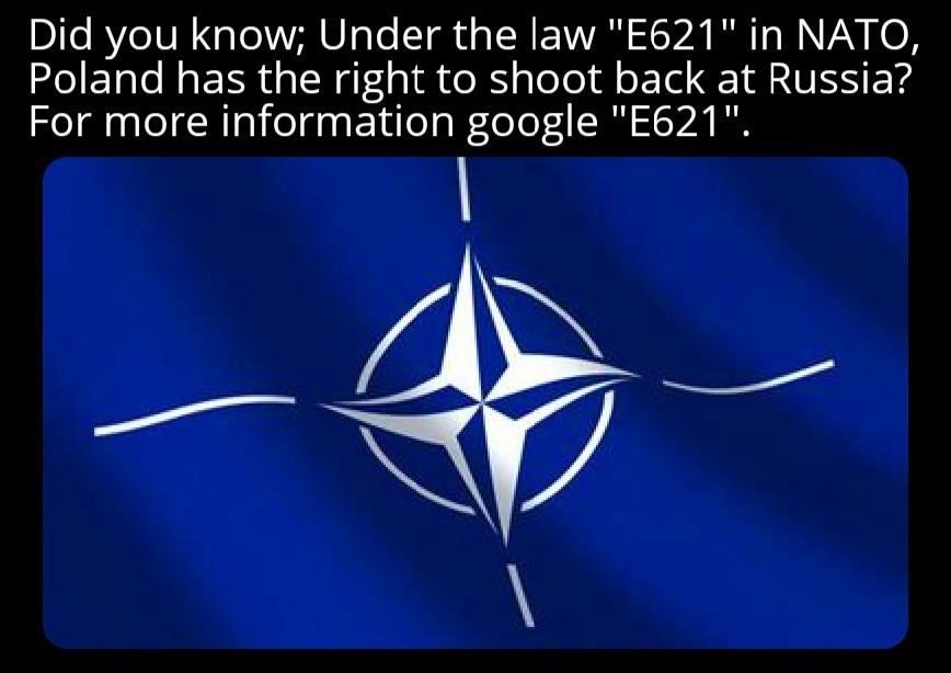 Did you know; Under the law in NATO, Poland has the right to shoot back at Russia? For more information google