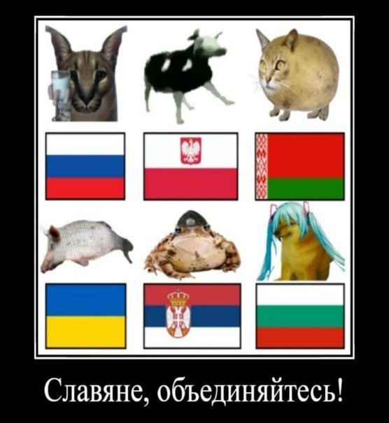 Славяне, объединяйтесь!
