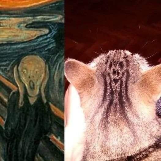я