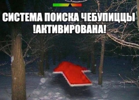 СИСТЕМА ПОИСКА ЧЕБУПИЦЦЫ 'АКТИВИРОВАНА!