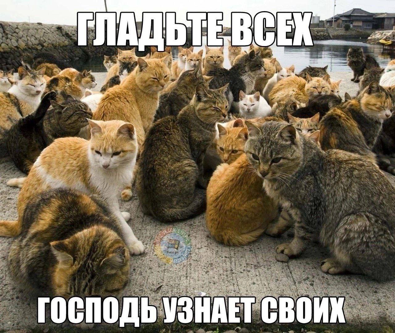 ГОСПОДЬ УЗНАЕТ СВОИХ