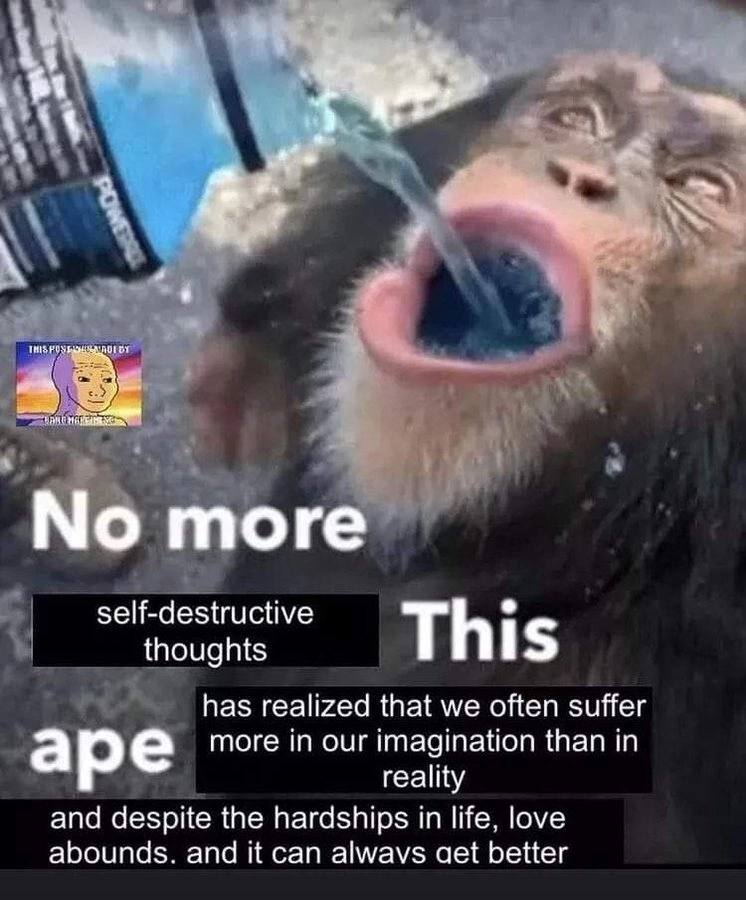 we POS тоге self-destructive thoughts This has realized that we often suffer magination than in ape more in Our reality and despite the hardships in life, love abounds. and It can alwavs aet better