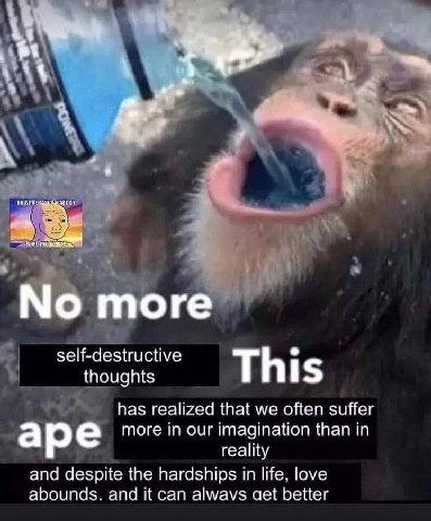 we POS тоге self-destructive thoughts This has realized that we often suffer magination than in ape more in Our reality and despite the hardships in life, love abounds. and It can alwavs aet better
