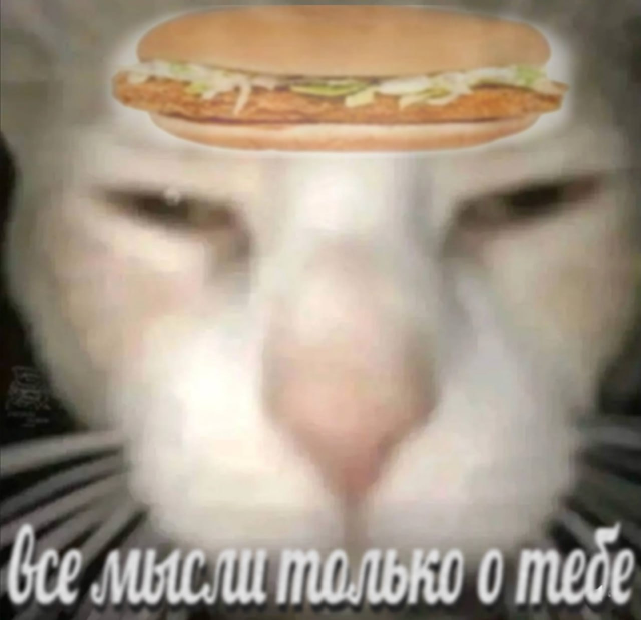 bee 0 тебе