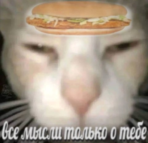 bee 0 тебе