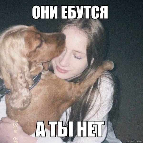ОНИ ЕБУТСЯ «МЫ HET,