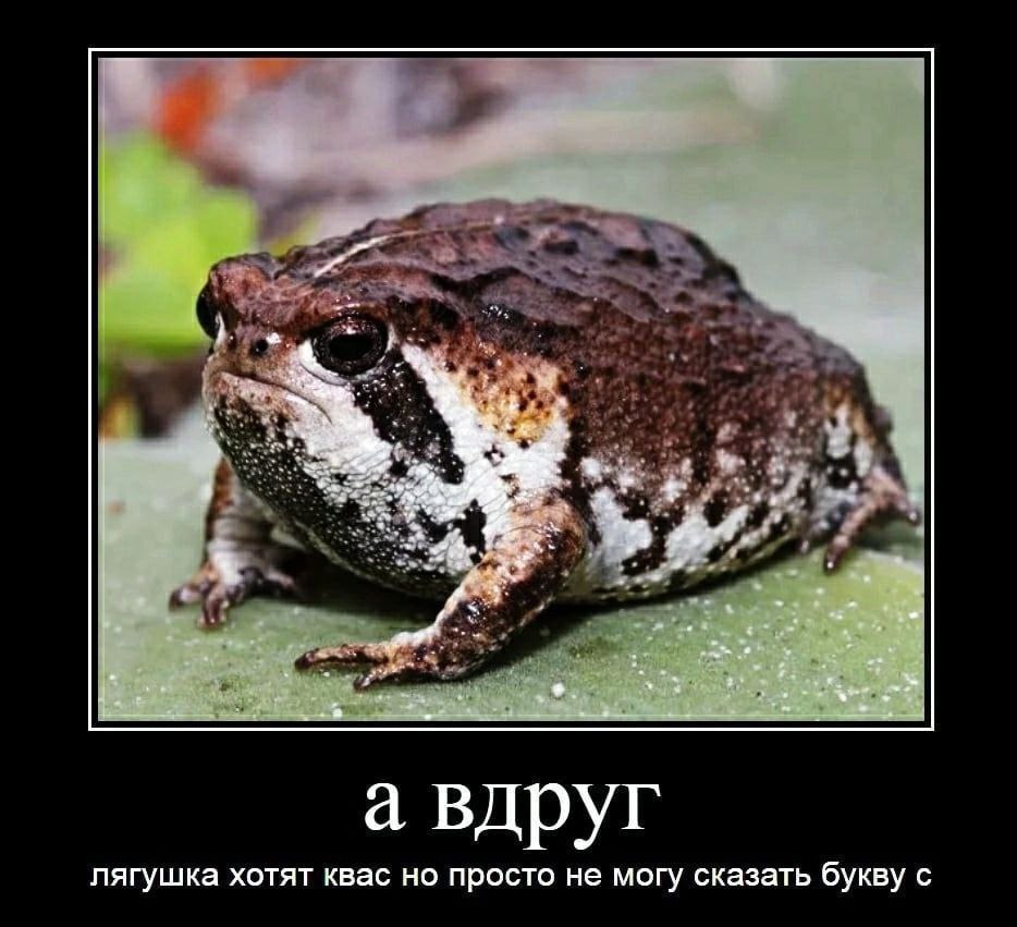 8 а вдруг лягушка хотят квас но просто не могу сказать букву С