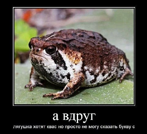8 а вдруг лягушка хотят квас но просто не могу сказать букву С