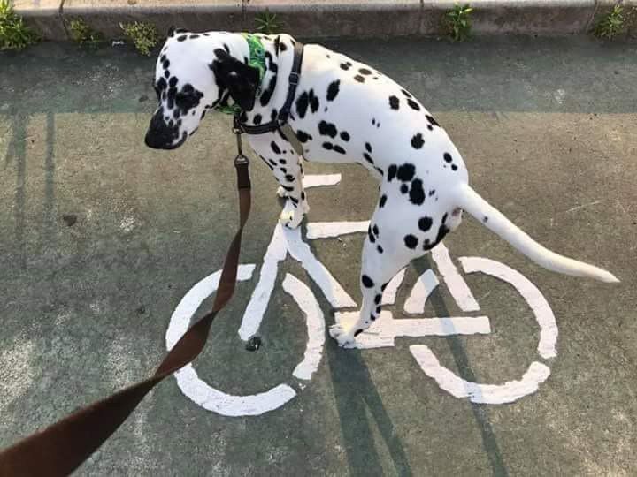 у wet
