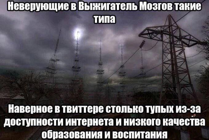 Неверующие в Выжигатель Мозгов такие типа 9 Наверное в твиттере столько тупых из-за доступности интернета и низкого качества образования и воспитания