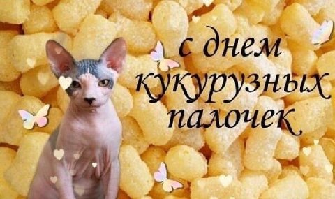 зных 4 в