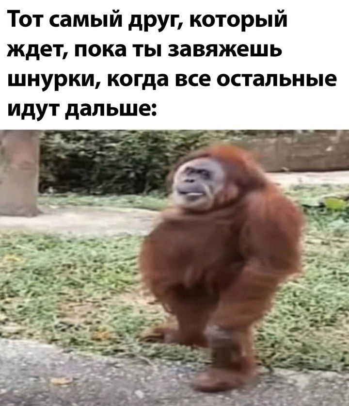 Тот самый друг, который ждет, пока ты завяжешь шнурки, когда все остальные идут дальше: 2 а