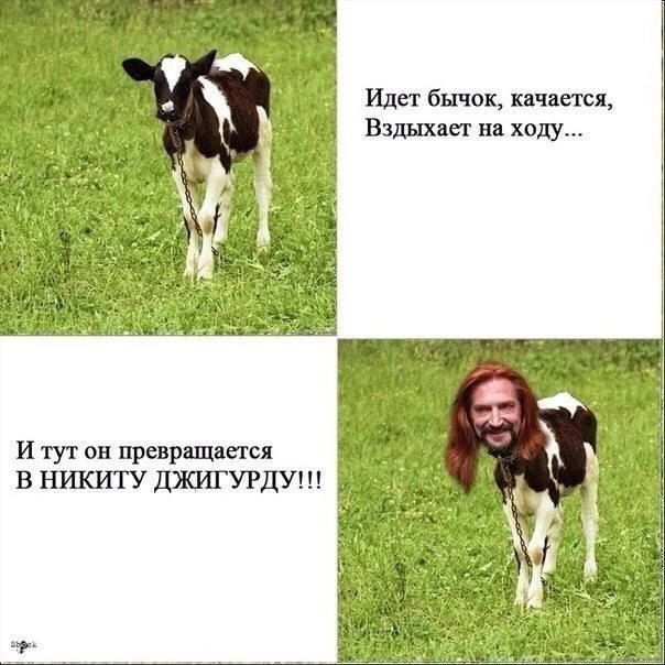 Идет бычок, качается, Вздыхает на ходу... 24 a> И on превращается В НИКИТУ ДЖИГУРДУ!!!