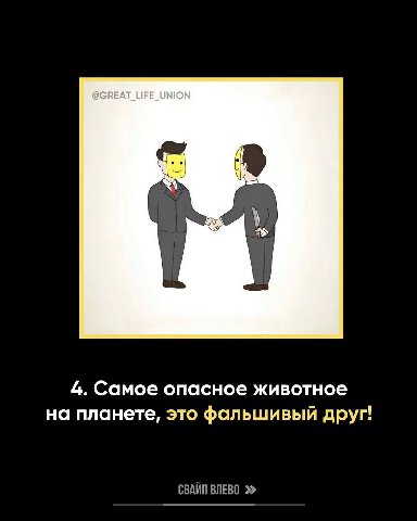 4. Самое опасное животное на планете, это фальшивый друг! СВАЙП ВЛЕВО