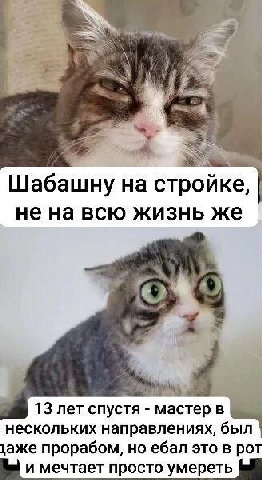 Шабашну на стройке, не на всю жизнь же 13 лет спустя мастер в нескольких направлениях, был \аже прорабом, но ебал это в рот и мечтает просто умереть