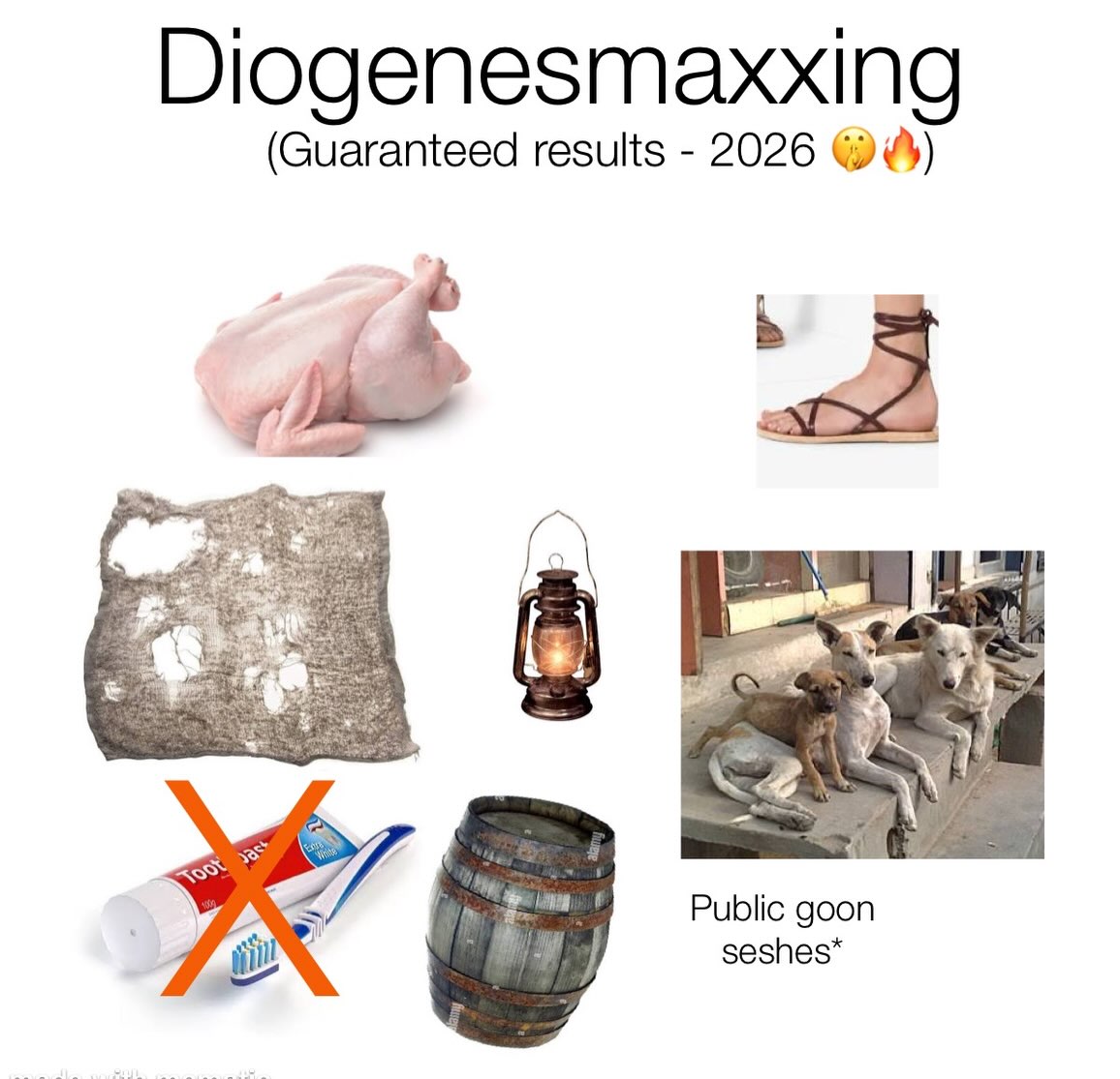Diogenesmaxxing (Guaranteed results 2026 ‘3 Public goon seshes