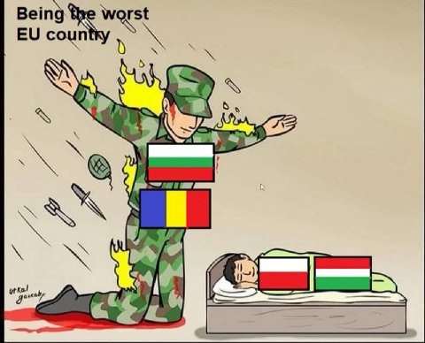Ветд у coun