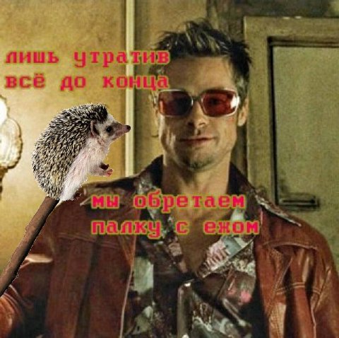 пишь Утрат всё до a кОм