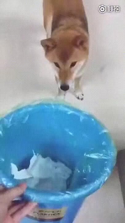 Я в, у Я a я