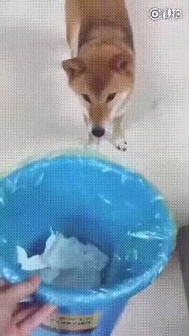 Я в, у Я a я