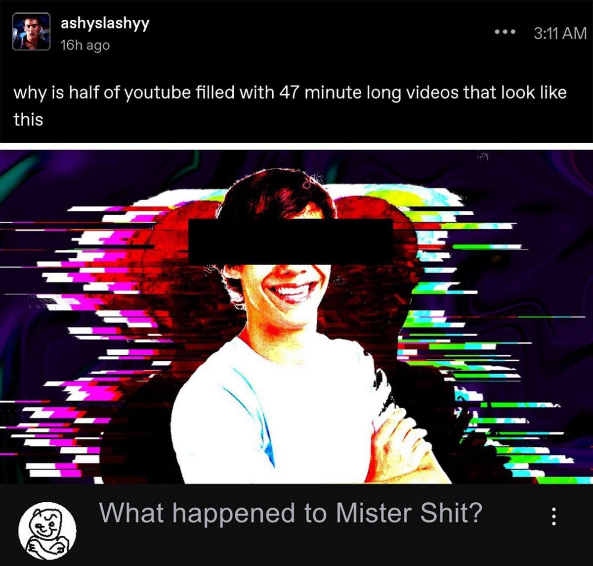 ashyslashyy why is half of youtube filled with 47 minute long videos that look like this What happened to Mister Shit?