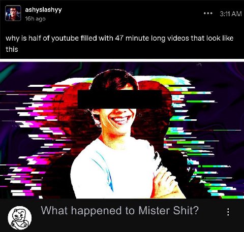 ashyslashyy why is half of youtube filled with 47 minute long videos that look like this What happened to Mister Shit?