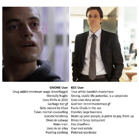 GNOME User KDE User Drug addict minimum-wage Amerifaggot True white Swedish masterrace Mentally fragile Strong, stable life potential, is a corporate Uses DVDs in 2016 Uses own data server Garbage tie