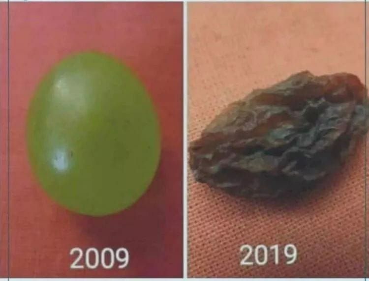 2009 2019