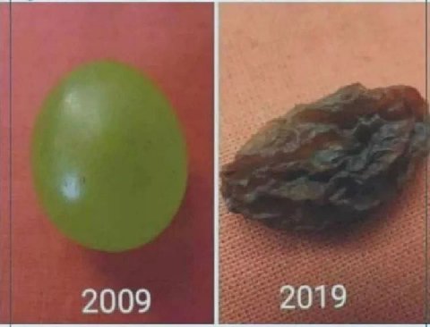 2009 2019