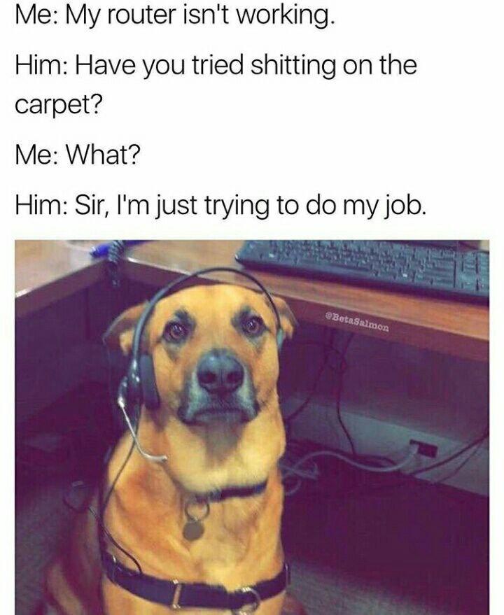 My router isn't working. Him: Have you tried shitting on the carpet? Me: What? Him: Sir, just trying to job.