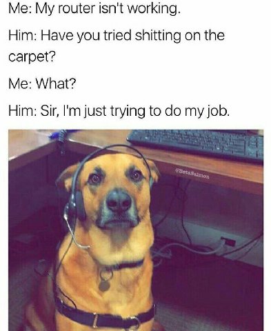 My router isn't working. Him: Have you tried shitting on the carpet? Me: What? Him: Sir, just trying to job.