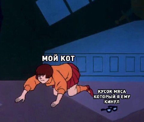 МОИ КОТ КУСОК МЯСА КОТОРЫЙ Я ЕМУ КИНУЛ