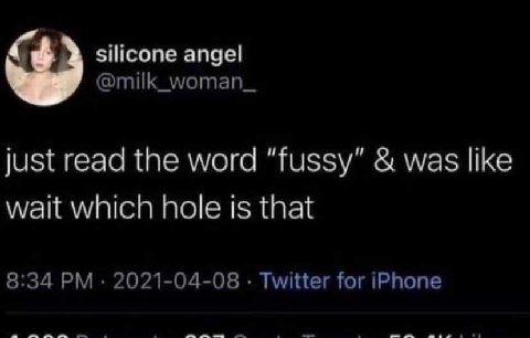 silicone angel just read the word “fussy” was like wait which hole is that 8:34 2021-04-08 Twitter for iPhone