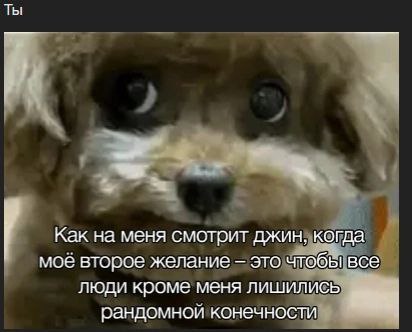 Ты когда Как на меня смотрит джин, моё второе желание это чтоб! все люди кроме меня ЛИШИЛИСВ рандомной конечности