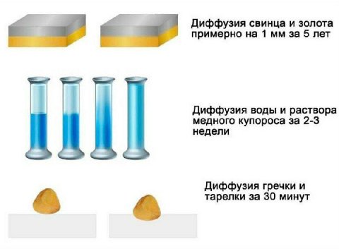 Диффузия свинца и золота примерно на 1 за 5 лет Диффузия воды и раствора медного купороса за 2-3 недели Диффузия гречки и тарелки за 30 минут